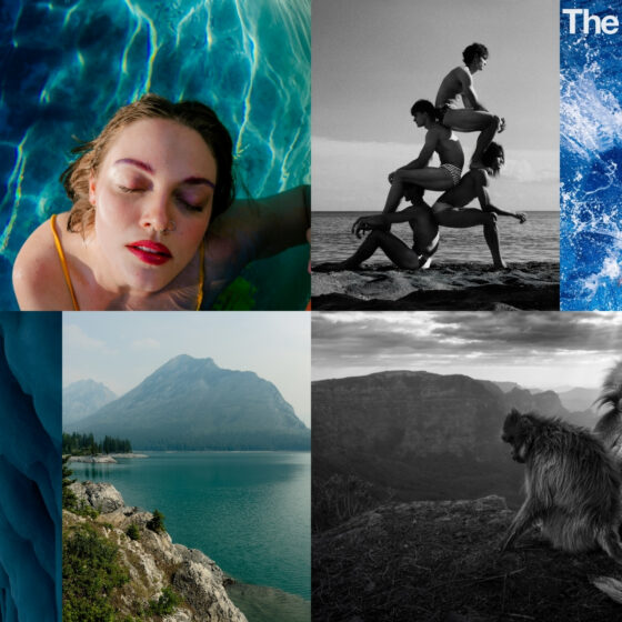 Professional photographers using iPhone for fashion, music, wildlife and landscape photography for World Photography Day TIps